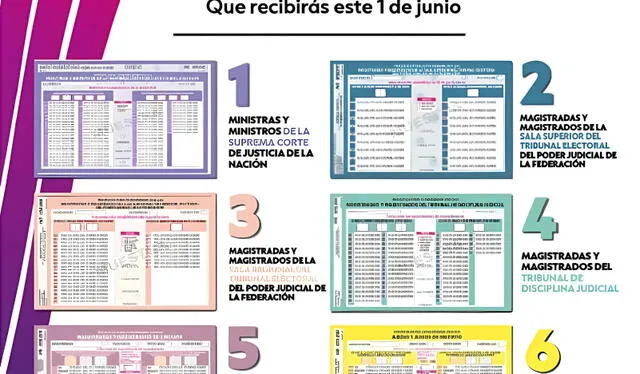  Los votantes de Coahuila recibirán seis boletas federales. | Instagram | Instituto Nacional Electoral (INE)   