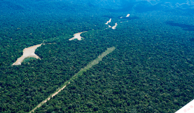 Comunidades de Kakataibo | Guardias Indígenas | Pueblos Indígenas en Aislamiento Voluntario | PIAV | Comisión Nacional para el Desarrollo y Vida sin Droga | Devida | Fenacoka | Federación Nativa de Comunidades Kakataibo | Organización Regional AIDESEP Ucayali | ORAU | Asociación Interétnica de Desarrollo de la Selva Peruana Comunidades de Kakataibo | Guardias Indígenas | Pueblos Indígenas en Aislamiento Voluntario | PIAV | Comisión Nacional para el Desarrollo y Vida sin Droga | Devida | Fenacoka | Federación Nativa de Comunidades Kakataibo | Organización Regional AIDESEP Ucayali | ORAU | Asociación Interétnica de Desarrollo de la Selva Peruana