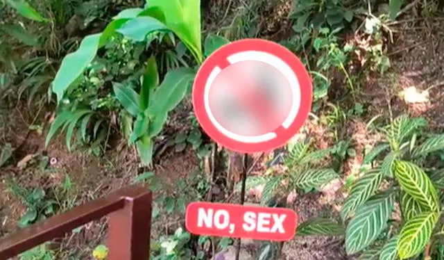 Los visitantes notaron un cartel que decía “No sex” y con un dibujo de una pareja encerrada de un círculo de ‘prohibido’. Foto: TikTok/ @taurus1234I Los visitantes notaron un cartel que decía “No sex” y con un dibujo de una pareja encerrada de un círculo de ‘prohibido’. Foto: TikTok/ @taurus1234I