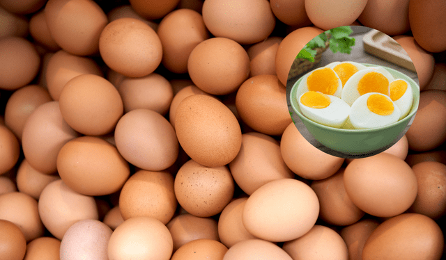  La manera más saludable para consumir huevos es hervidos. Foto: Composición LR<br><br>    