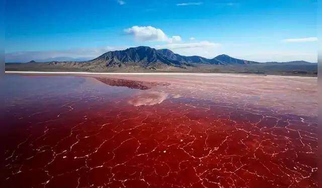 El lago no tiene salida hacia otro cuerpo de agua y solo se mantiene gracias a la evaporación. Foto: IStock El lago no tiene salida hacia otro cuerpo de agua y solo se mantiene gracias a la evaporación. Foto: IStock