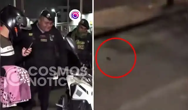  El roedor salió corriendo y sorprendió a los policías que no esperaban que saliera del asiento de la moto. Foto: composición LR/ TikTok / @cosmosperu<br><br>    