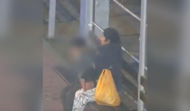  La mujer le dio varios golpes al niño y todo quedó registrado por las cámaras de seguridad de Ate. Foto: composición LR/ X/ Exitosa   