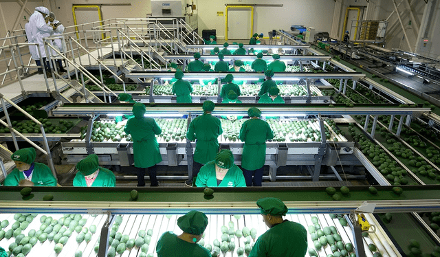Fuerza Popular impulsa nueva ley agraria que recorta impuestos a grandes agroexportadoras. Fuerza Popular impulsa nueva ley agraria que recorta impuestos a grandes agroexportadoras.