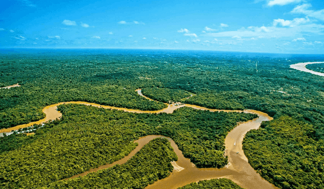 Amazonas ha sido reconocido como el río más largo del mundo, según estudios recientes. Foto: Difusión Amazonas ha sido reconocido como el río más largo del mundo, según estudios recientes. Foto: Difusión