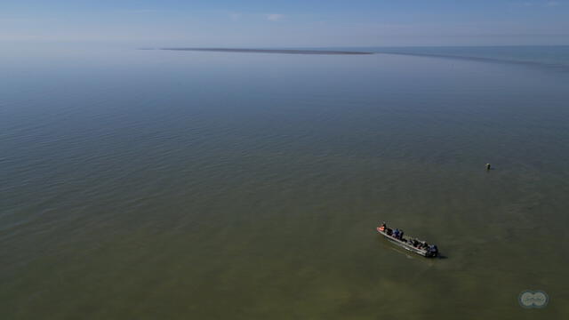  Los investigadores no pudieron desembarcar en la isla debido al mal tiempo y a las condiciones poco profundas del agua. Foto: IO RAS   