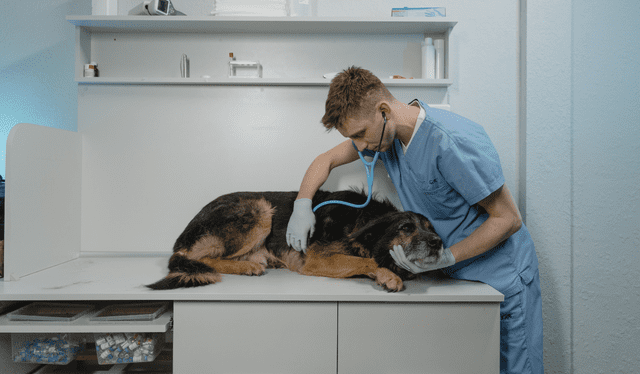 La campaña se realizará en avenida Marsano con la av. Angamos. Foto: Composición LR La campaña se realizará en avenida Marsano con la av. Angamos. Foto: Composición LR