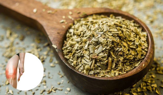 El orégano contiene muchas vitaminas que contribuyen a la creación de colágeno. Foto: Composición LR El orégano contiene muchas vitaminas que contribuyen a la creación de colágeno. Foto: Composición LR