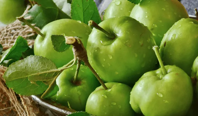  La manzana verde es rica en nutrientes, vitaminas, minerales y compuestos bioactivos. Foto: Composición LR<br><br>    