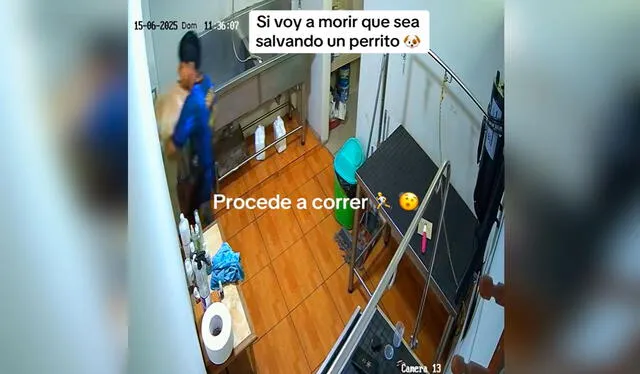  El perrito no se movía y se dejaba cargar tranquilamente, para que lo pongan en una zona segura. Foto: composición LR/ TikTok/ @tayli_ocharan   