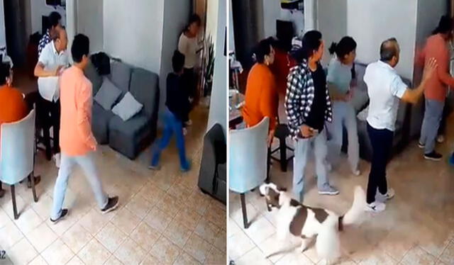  Al sentir el fuerte temblor, la familia se puso de pie y salió rápidamente de la casa, mientras el perrito continuaba ladrando. Foto: composición LR/ TikTok / @gidmer   