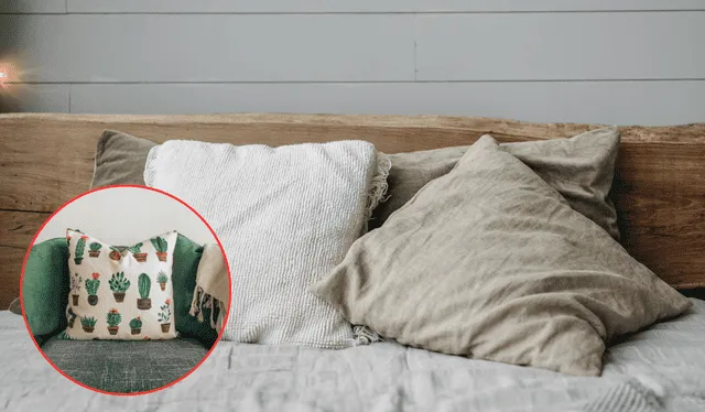  Hacer juguetes o nuevos cojines con las almohadas viejas es una manera de ser amigable con el medio ambiente. Foto: Composición LR<br><br>    