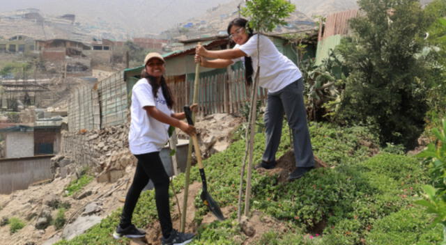 Las iniciativas incluyen la plantación de árboles y limpieza de espacios públicos, evidenciando un compromiso claro con la ciudadanía ambiental. Las iniciativas incluyen la plantación de árboles y limpieza de espacios públicos, evidenciando un compromiso claro con la ciudadanía ambiental.
