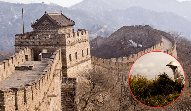 La perspectiva sobre la Gran Muralla podría cambiar debido a últimos estudios. Foto: Composición LR<br><br> La perspectiva sobre la Gran Muralla podría cambiar debido a últimos estudios. Foto: Composición LR<br><br>