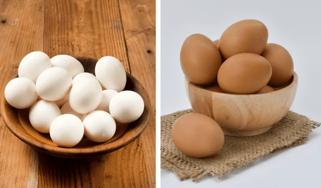 Los nutrientes y beneficios de los huevos no dependen del color de las cáscaras. Foto: Composición LR<br><br> Los nutrientes y beneficios de los huevos no dependen del color de las cáscaras. Foto: Composición LR<br><br>