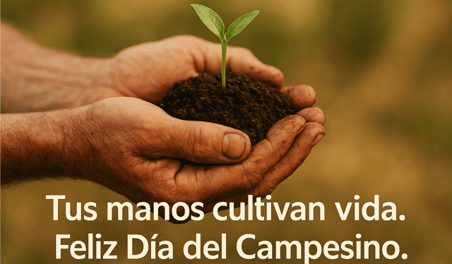 Imagen del Día del Campesino. Imagen del Día del Campesino.