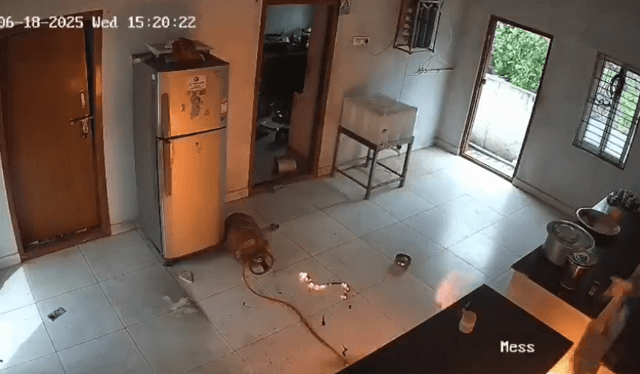 La explosión incendió la casa de la pareja. Foto: X La explosión incendió la casa de la pareja. Foto: X