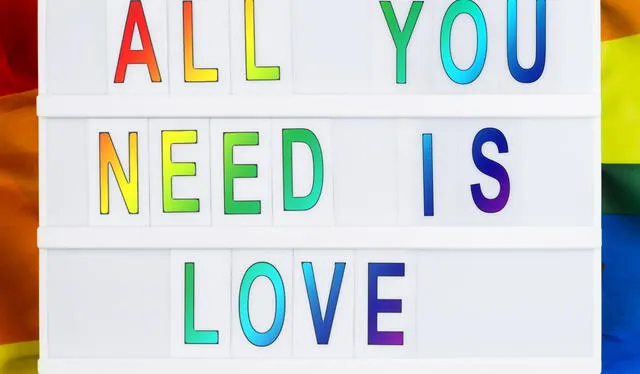 "Todo lo que necesitas es amor"   