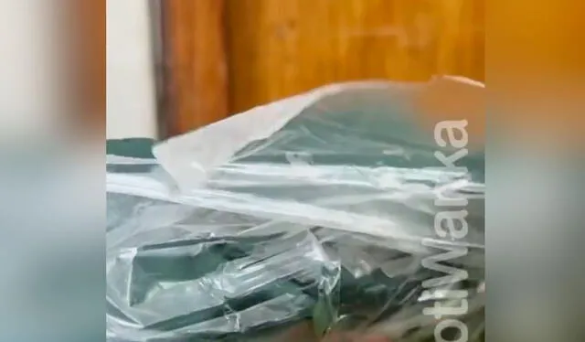 Los agentes de la UDEX descubrieron que se trataba de esponjas para limpiar flores. Foto: composición LR/ 7 Días Los agentes de la UDEX descubrieron que se trataba de esponjas para limpiar flores. Foto: composición LR/ 7 Días