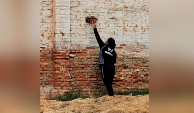  El heladero no dudó en hacer negocio a través de un pequeño agujero en la pared del estadio Alianza Atlético de Sullana. Foto: composición LR/ TikTok /@quiches66   