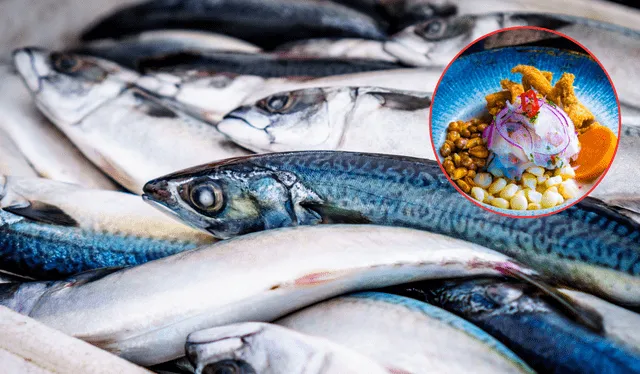  Los pescados son ricos en Omega-3. Foto: Composición LR<br><br>    