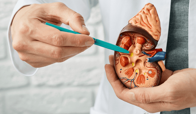  Hábitos sencillos, como tomar agua, pueden ser beneficiosos. Foto: Composición LR<br><br>    