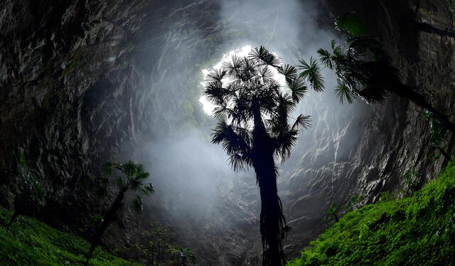 El antiguo bosque o "nuevo mundo" ha sido descubierto en el interior de un sumidero en China. Foto: The UNESCO El antiguo bosque o "nuevo mundo" ha sido descubierto en el interior de un sumidero en China. Foto: The UNESCO