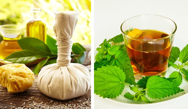 Sus usos más frecuentes son en cataplasmas e infusiones. Foto: Composición LR<br><br> Sus usos más frecuentes son en cataplasmas e infusiones. Foto: Composición LR<br><br>