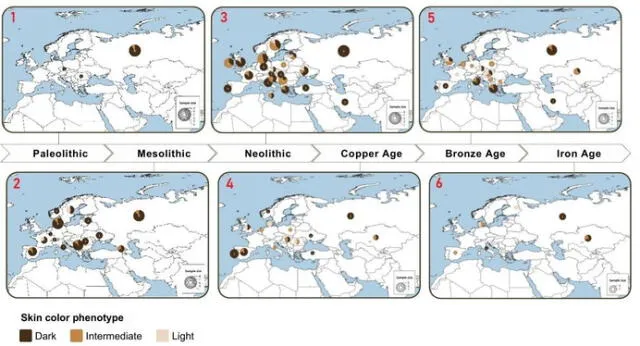 Mapas de Eurasia que muestran la distribución de la pigmentación de la piel a lo largo del tiempo, desde el Paleolítico hasta la Edad del Hierro. Foto: ArVix Mapas de Eurasia que muestran la distribución de la pigmentación de la piel a lo largo del tiempo, desde el Paleolítico hasta la Edad del Hierro. Foto: ArVix
