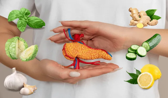 La clave para mantener el órgano sano es el consumo de ciertas verduras. Foto: Composición LR<br><br> La clave para mantener el órgano sano es el consumo de ciertas verduras. Foto: Composición LR<br><br>