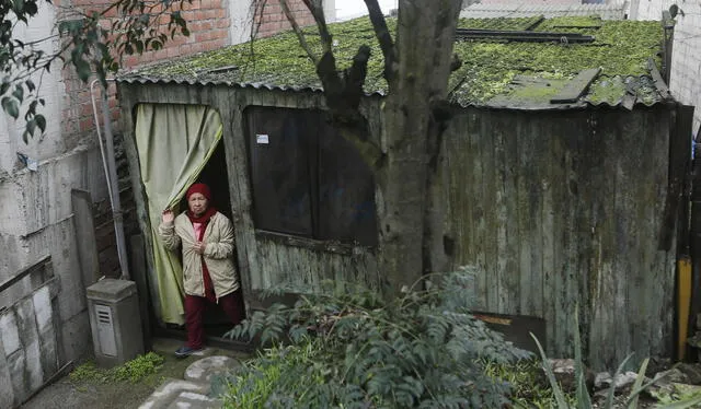 La casa verde. Los techos y paredes de las casas se cubren de verde debido a la humedad. Foto: Marco Cotrina / LR La casa verde. Los techos y paredes de las casas se cubren de verde debido a la humedad. Foto: Marco Cotrina / LR