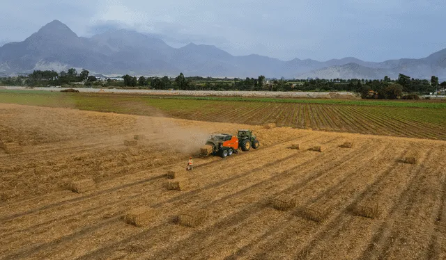 Agroindustrial Laredo desarrolla un programa de economía circular que elabora compostaje orgánico. Agroindustrial Laredo desarrolla un programa de economía circular que elabora compostaje orgánico.