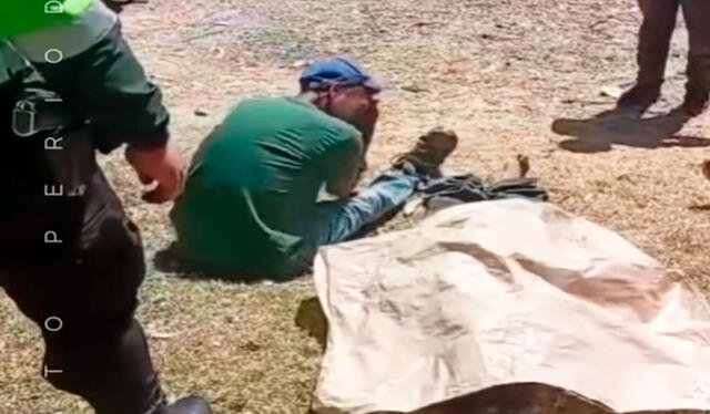 El hombre lamentó la muerte de su madre en San Miguel de Picha y aseguró que falleció tras el golpe recibido por la vaca. Foto: composición LR/ TikTok/ @relato_periodistico El hombre lamentó la muerte de su madre en San Miguel de Picha y aseguró que falleció tras el golpe recibido por la vaca. Foto: composición LR/ TikTok/ @relato_periodistico