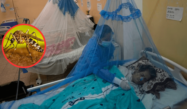 larepublica.pe larepublica.pe