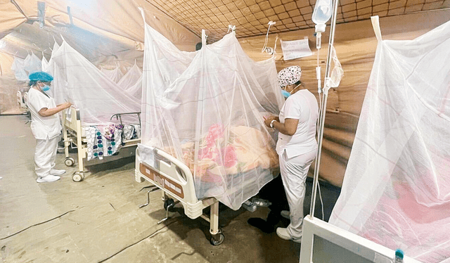  La nueva norma busca controlar el dengue, chikungunya, Zika, Oropouche, Mayaro y otras arbovirosis en el Perú. Foto: Archivo GLR<br><br>    