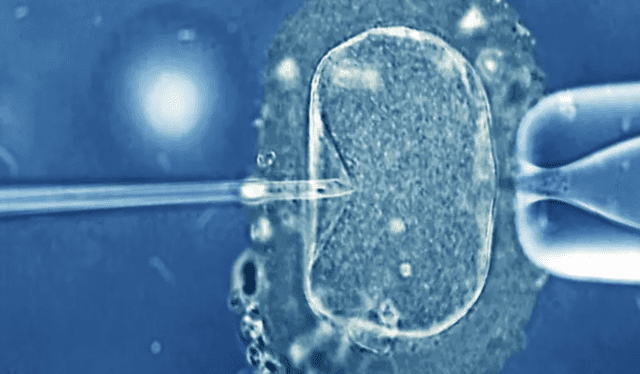 El nacimiento de Tiantian fue posible al congelamiento de embrión que habían realizado sus padres antes de fallecer. Foto: BBC   