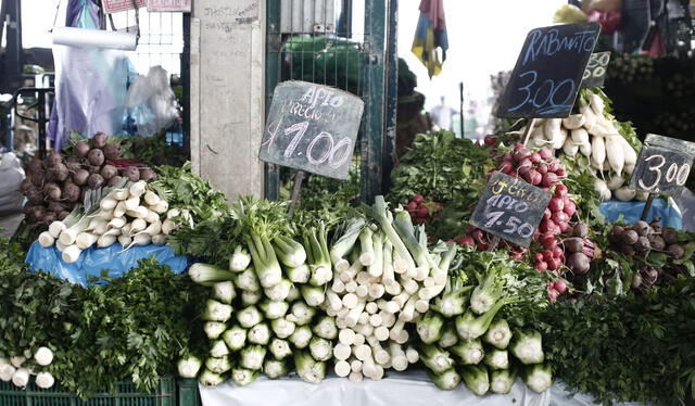 SENASA halló en el apio plaguicidas prohibidos para el consumo humano. Foto: Marco Cotrina / La República.   