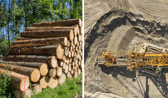  La deforestación y la minería son grandes problemáticas. Foto: Comisión LR<br><br>    