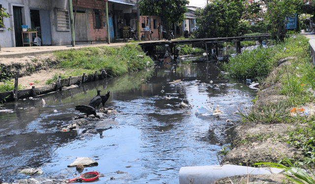  Los ciudadanos de la zona recolectan agua en baldes. Foto: Yazmín Araujo.    