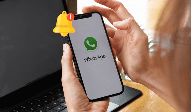  La herramienta permitirá que se reduzca el agobio en los usuarios. Foto. Composición LR<br><br>    