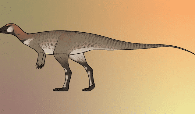  Representación artística de Pulaosaurus qinglong. Foto: Connor Ashbridge   