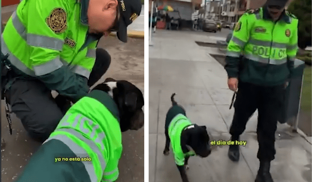  El perro ahora forma parte de la comisaría. Foto: Composición LR/ PNP<br><br>    