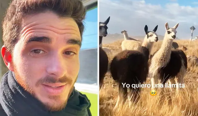  Usuarios en TikTok respondieron al cubano la razón de los ostentosos desayunos en el Perú. Foto: composición LR/ TikTok / @leo.a.secas8   