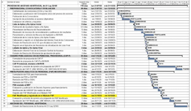Cronograma del programa de ascenso. Foto: Captura del Minsa<br>   