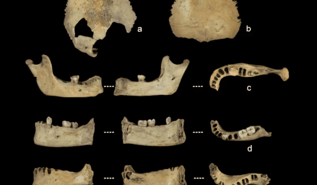 Científicos analizaron los restos encontrados que datan de hace 5.700 años. Foto: Captura.   