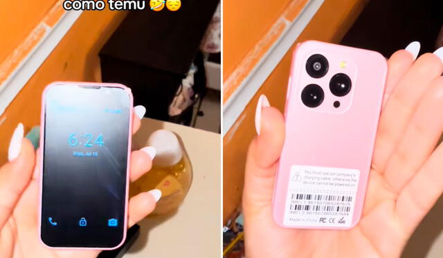  Usuarios en TikTok se animaron a contar sus experiencias con compras por internet. Foto: composición LR/ TikTok / @lizzyvilleda05   
