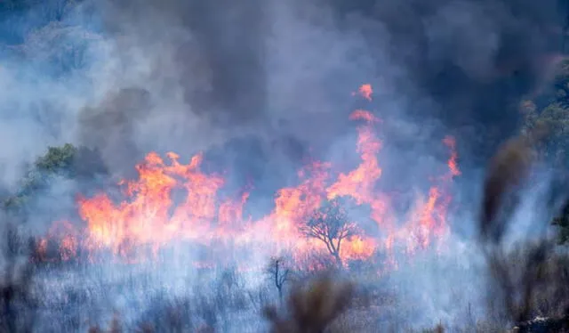 Incendio activo en el Parque Nacional de Monfragüe. Incendio activo en el Parque Nacional de Monfragüe.
