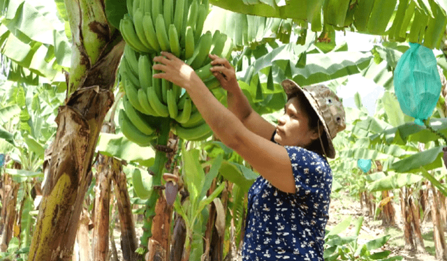  <em>El apoyo de la concesionaria dinamizó la economía regional.</em>    
