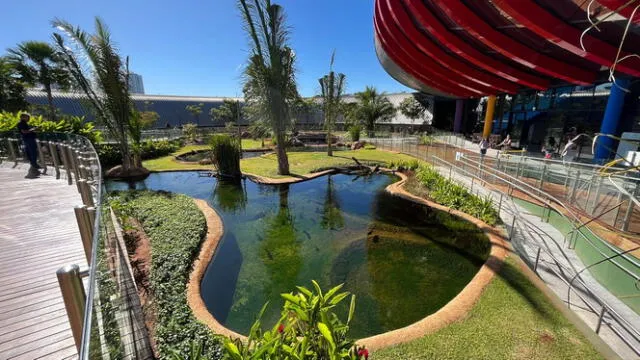 El acuario está adaptado a las especies neotropicales que habitan en América. Foto: TripAdvisor El acuario está adaptado a las especies neotropicales que habitan en América. Foto: TripAdvisor