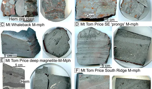 Especímenes escaneados con altas concentraciones de Hierro encontrados en Hamersley. Foto: PNAS Especímenes escaneados con altas concentraciones de Hierro encontrados en Hamersley. Foto: PNAS